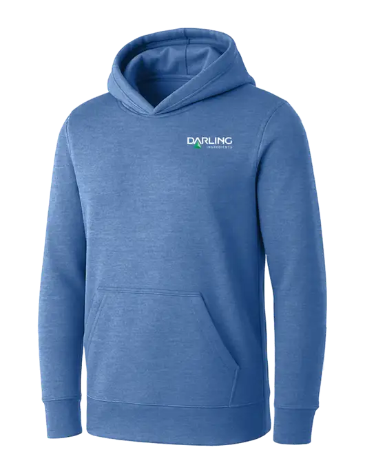 Womens Royal Heather Core Fleece Pullover Hooded Sweatshirt w/Darling Ingredients Logo